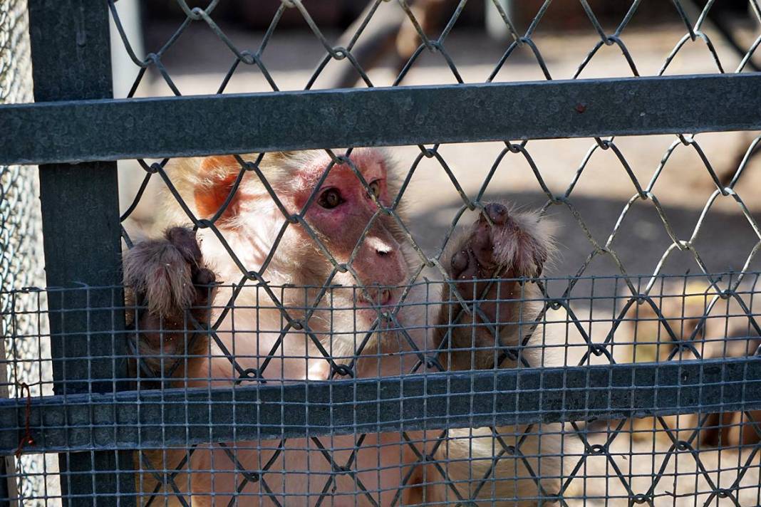 Otobüsle gönderilen koliyi kimse almayınca şoke eden gerçek ortaya çıktı! Hiç kimse bu kadar absürtlüğü tahmin edemezdi 24